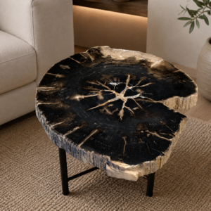 versteend-hout-bijzettafel