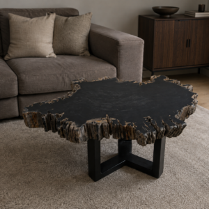 versteend-hout-bijzettafel